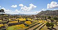 * Nomination Archaeological area of Cantona, Puebla, Mexico --Poco a poco 09:33, 21 October 2019 (UTC) * Promotion Good quality. --Moroder 10:03, 21 October 2019 (UTC)