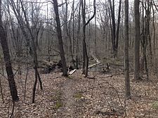 Curych Bog, Arcadia, NY.JPG