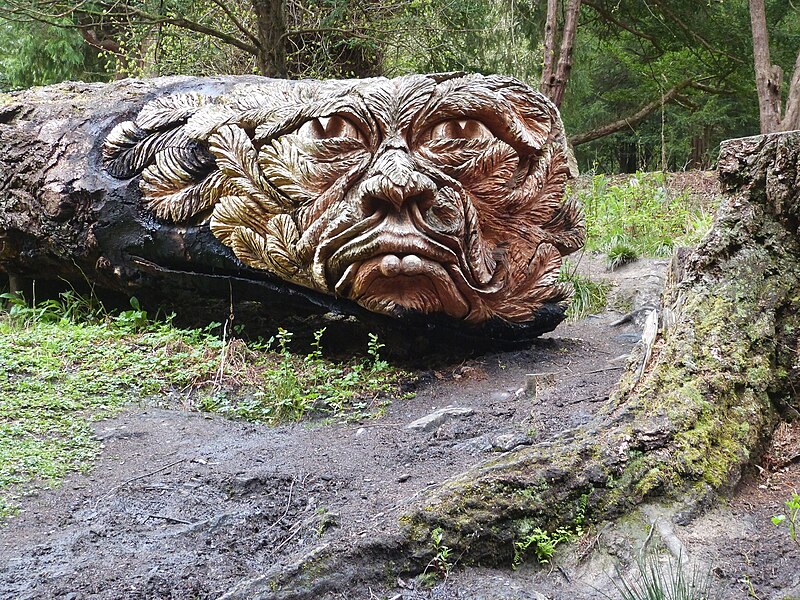 File:" Douglas " Carved from a fallen tree. possibly a Douglas Fir ^ - geograph.org.uk - 4530868.jpg