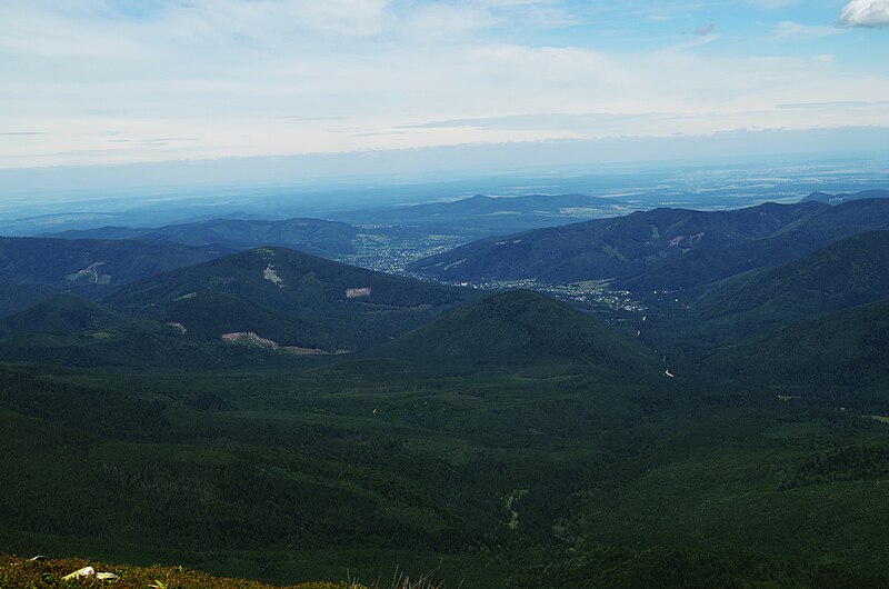 File:Вид в сторону Старой Гуты - panoramio.jpg