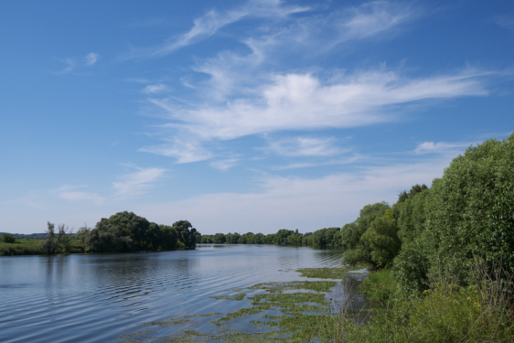 Москва-река недалеко от села Марково