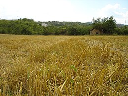 Отатоци од сламки на стрниште во Скопско, Македонија