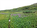 2021年6月16日 (水) 13:25時点における版のサムネイル