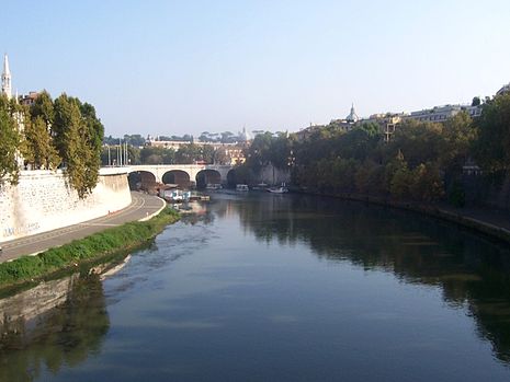 Ponte Cavour; to its right, the lungotevere 001FiumeTevere.JPG