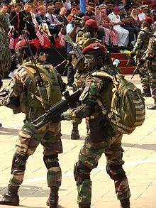 Paratroopers from 10th Parachute Brigade preparing for demonstration in 56th Merdeka Day parade. 10 Para Bde with M4A1 M203 during 56th NDP.JPG