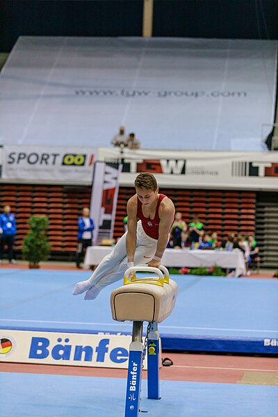 File:15th Austrian Future Cup 2018-11-24 Sebestyén Márkus (Norman Seibert) - 10481.jpg