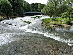 (LSG:BW-4.25.129)_Obermarchtal, Danube in Baden-Württemberg