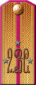 Вариант. Погон классного чина «Поручик», 2-й Восточно-Сибирский стрелковый полк (погон 1904—1909 г.)