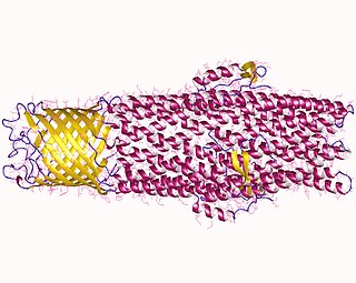 <span class="mw-page-title-main">Efflux (microbiology)</span> Protein complexes that move compounds, generally toxic, out of bacterial cells