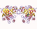 Thumbnail for N-acylneuraminate cytidylyltransferase