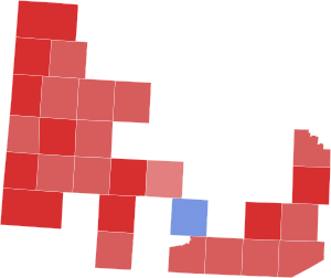 2006 House of Representatives TX-19 Election Results By County.svg