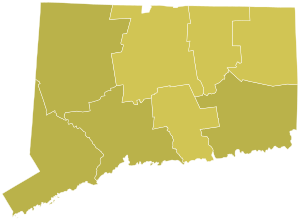 2006 United States Senate Election In Connecticut