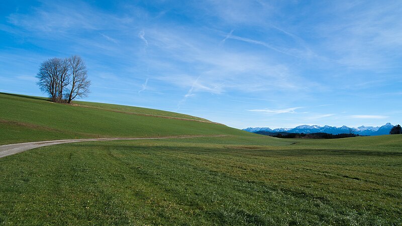 Foto von weitem aus dem grünen Alpenvorland und daher ein wenig eisig blau