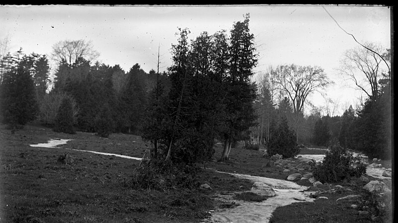 File:246. Creek in Jackson Park, Peterborough, Ont., May, 1912 (26431285612).jpg