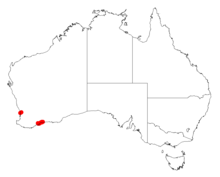 Acacia cedroidesDistMap172.png