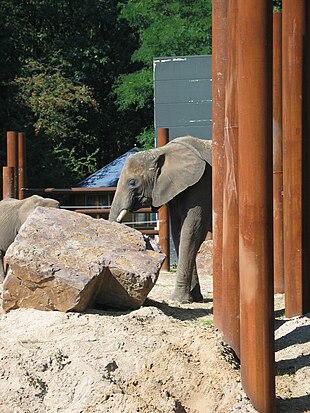 Ouwehands Dierenpark Wikipedia