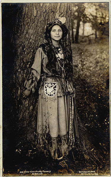 Seneca woman Ah-Weh-Eyu (Pretty Flower), 1908.