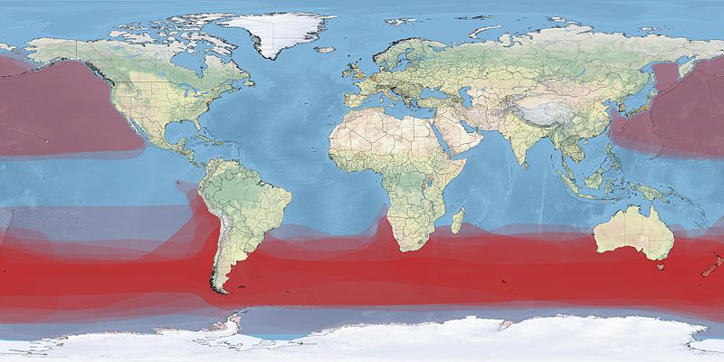 Soubor:Albatross Density Map.jpg