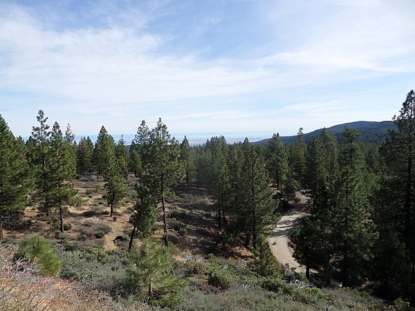 Alder Springs Road in Mendocino National Forest looking east