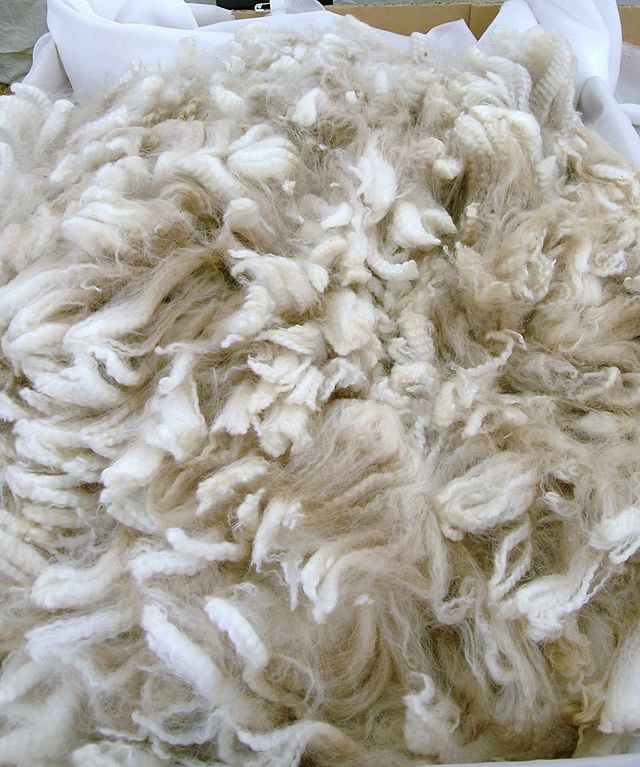 Alpaca Fleece  Fine – Unwashed – Natural Yarns