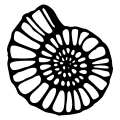 Ammonite shell with many segments and traced-looking linework.svg