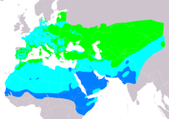 Distribución de Anthus campestris