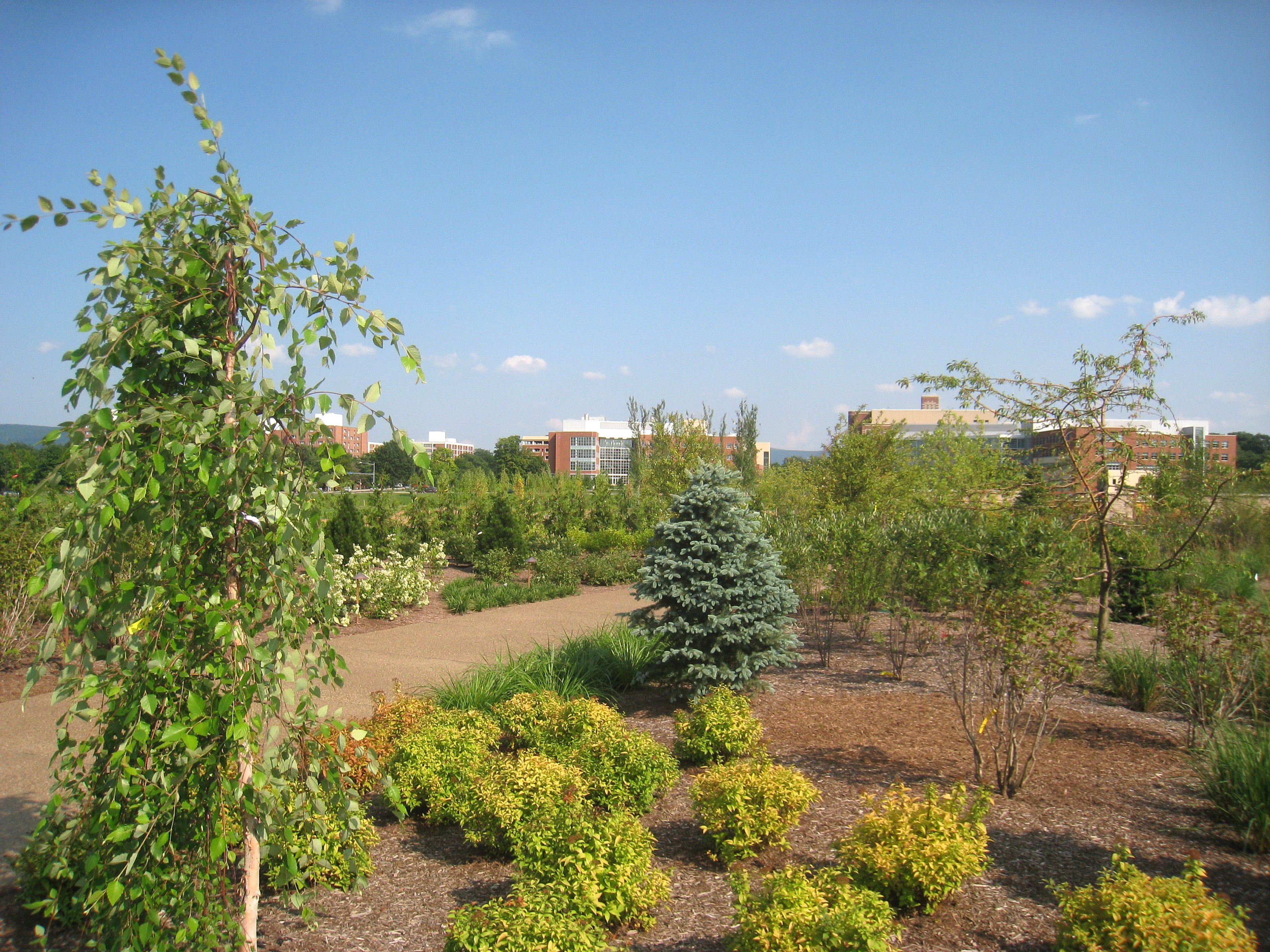 The Village at Penn State