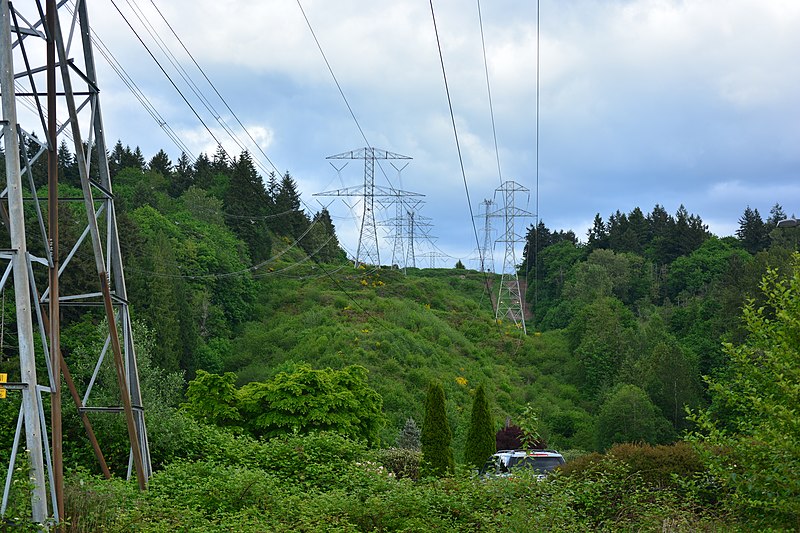 File:Auburn, Washington - power lines perpendicular to Green River Road SE - 02.jpg