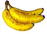Banana Fruit.JPG