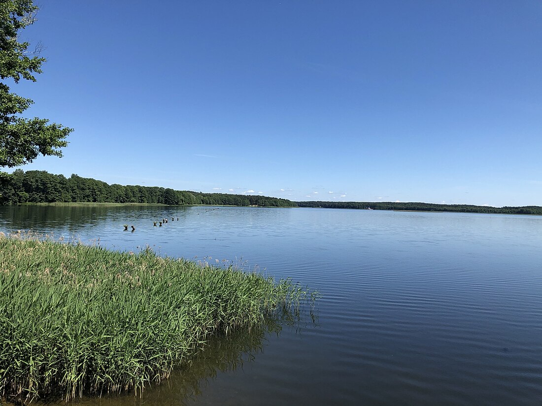 Бело језеро (Гродњенска област)