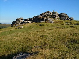 Bellever Tor - geograph.org.uk - 208200.jpg