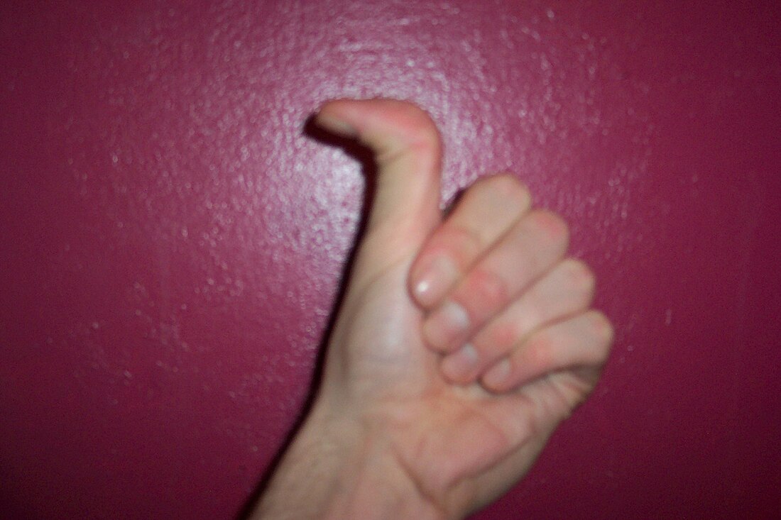 File:Bendable thumb.jpg