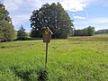 Mai 2023 Flächennaturdenkmal Untere Wiese an der Poche bei Bertsdorf