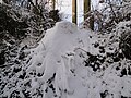 A large quanitity of snow collected in the hedge along Crocker Lane, Bierley, Isle of Wight. The photo was taken shortly after heavy snowfall on the island on 5 January 2010.