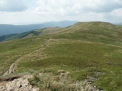 Jellegzetes rét (połonina) a Szeroki Wierch gerincén, a Tarnica közelében