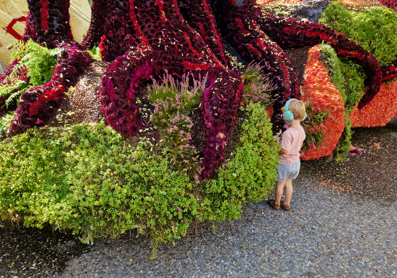 File:Bloemencorso Zundert 2023 - Gouden Regen detail 1.png