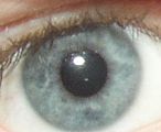 Plava boja šarenice u oku nastaje zbog Tyndallovog učinka.