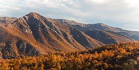 Bosque Otoñal Reserva Nacional Altos de Lircay 22.jpg