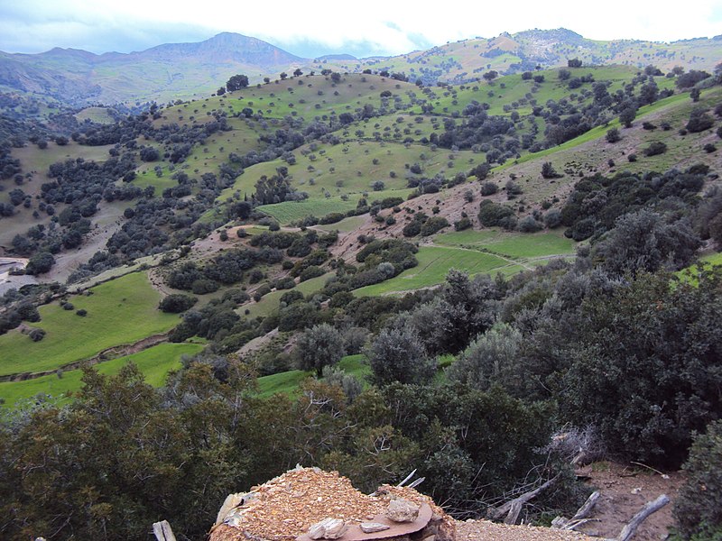 File:Boukhaled, Morocco - panoramio (1).jpg