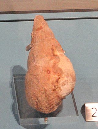 <i>Bourgetia</i> Extinct genus of gastropods