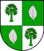 Escudo de armas de Buchholz