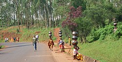 Burundi 2010 2.jpg