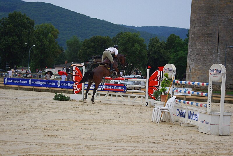 File:CIR de Cluny - 28-07-2012 13.JPG