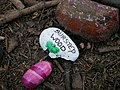 Rock snake created during the 2020 COVID-19 pandemic in Bursted Wood at Barnehurst.