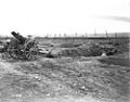 Canadians and captured German gun east of Arras Aug 1918 LAC 3395608.jpg