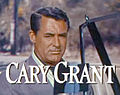 John Robie, Katua (Cary Grant)