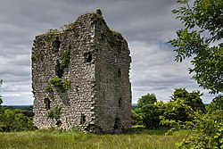 Castles of Leinster- Castlerea, Longford (2) (geograph 4074477).jpg