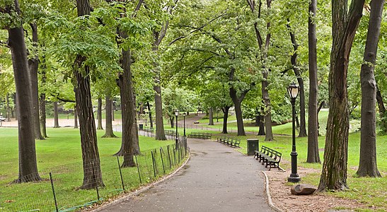 A view of Central Park in New York