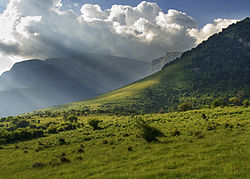 Bulgaria: Maantiede, Historia, Politiikka