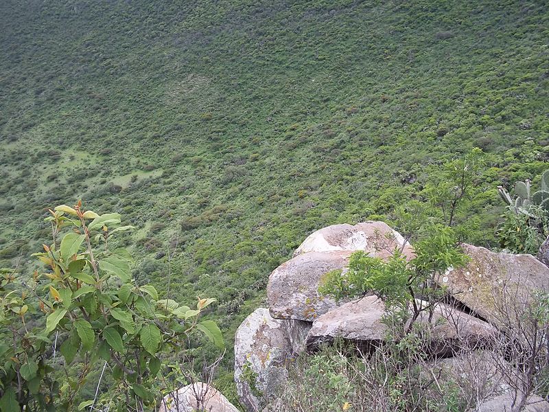 File:Cerro Mesa Ahumada (38).jpg